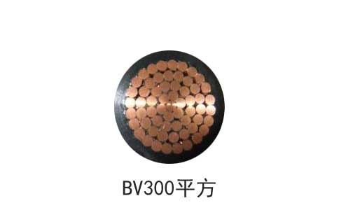 bv300平方電纜